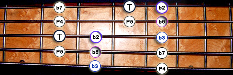 Gamme Basse Jerrock