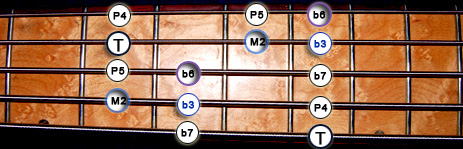 Gamme Basse Jerrock