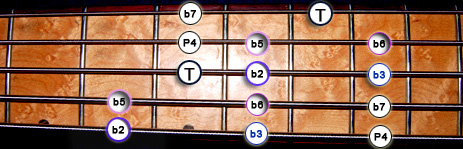 Gammes Guitare Jerrock 