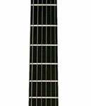 touche_carbone_parker_guitars