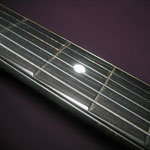 touche_carbone_fretless_bond_electraglide